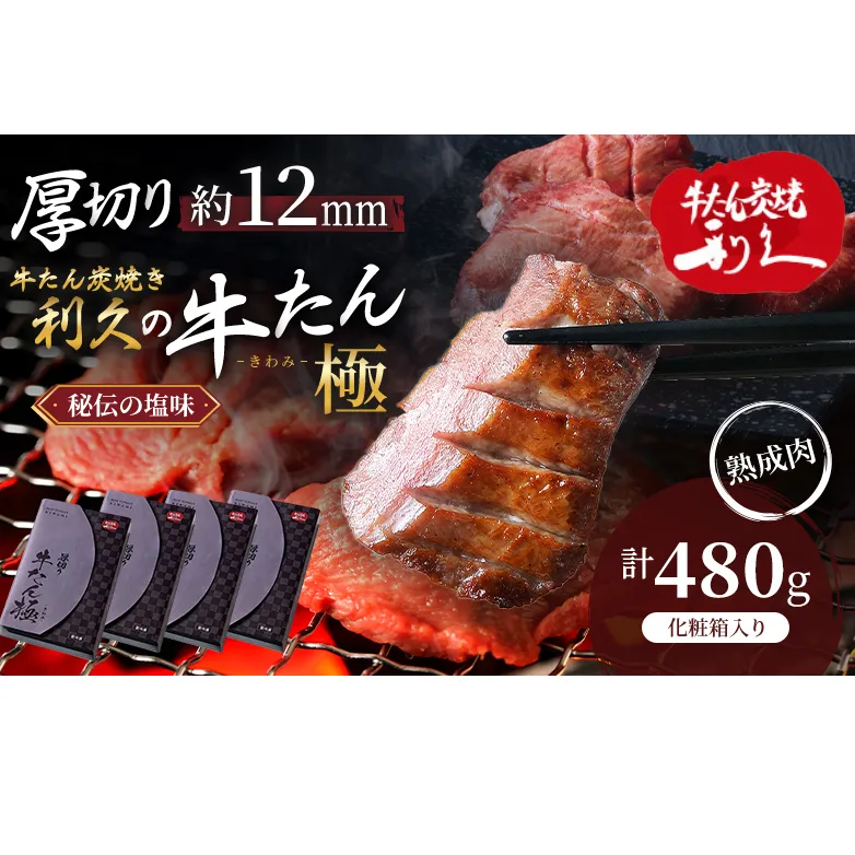 【特別寄附額】 牛タン 極 480g (120g×4個) セット 利久 牛たん 熟成肉 タン塩 厚切り牛タン 牛 牛肉 肉 お肉 タン タン中 タン元 厚切り 焼肉 焼き肉 惣菜 おかず ごはんのお供 ギフト プレゼント 記念日 お土産 冷凍 冷凍配送 宮城 宮城県 岩沼市