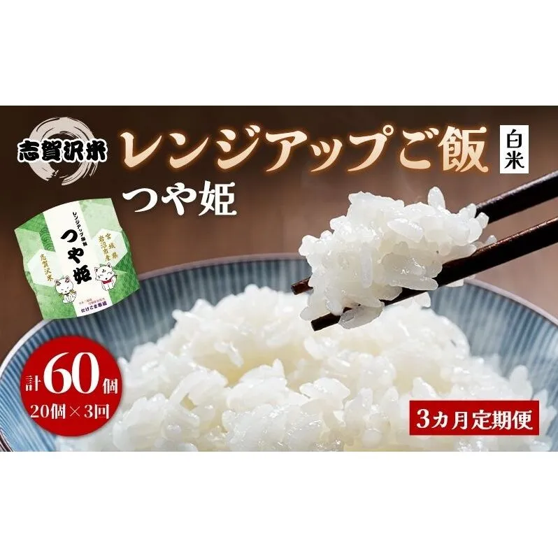 【令和7年産】3ヵ月定期便 つや姫 志賀沢米 レンジアップごはん 20個セット お米 米 精米 パックごはん 岩沼市 志賀産