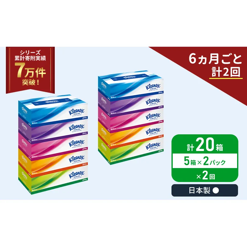 定期便 ティッシュ クリネックス 5箱入 × 2パック 《 6ヶ月ごと計  2回 》 ティッシュ セット