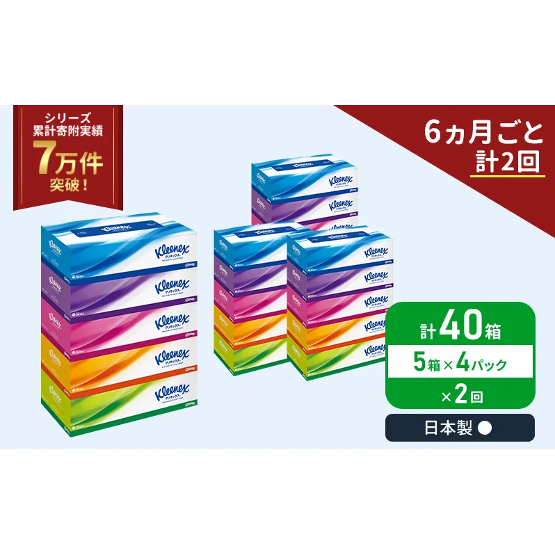 定期便 ティッシュ クリネックス 5箱入 × 4パック 《 6ヶ月ごと計  2回 》 ティッシュ セット