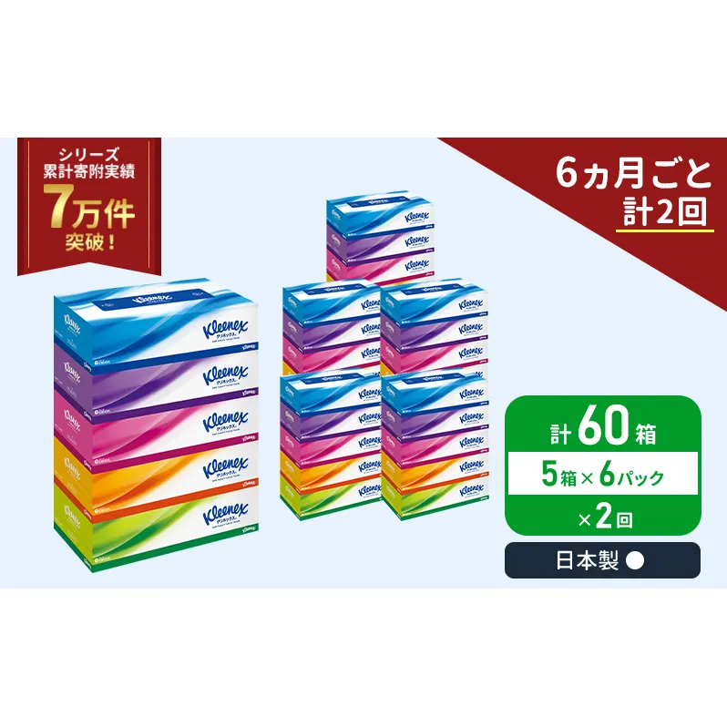 定期便 ティッシュ クリネックス ティシュー 5箱入×6パック《6ヶ月ごと計2回》 ティッシュペーパー セット 柔らかい 節約 日用品 日用雑貨 備蓄 備蓄品 備蓄用 防災 災害 ボックスティッシュ テッシュ ペーパー 宮城 岩沼市