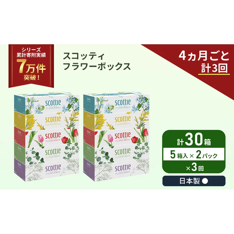 定期便 ティッシュ スコッティ フラワーボックス 30箱 (5箱×2パック)《4ヶ月ごと計3回》 ティッシュペーパー ティシューペーパーボックスティッシュ ボックスティシュー ティシュペーパー 防災 災害 日用品  生活用品 生活必需品 宮城県 岩沼市