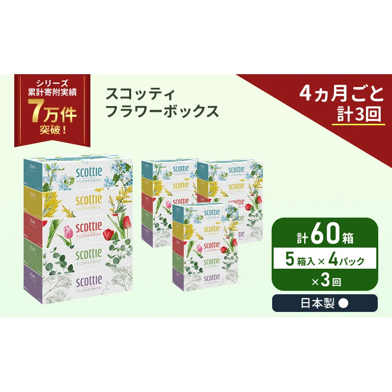 定期便 ティッシュ スコッティ フラワーボックス 60箱 (5箱×4パック)《4ヶ月ごと計3回》 ティッシュペーパー ティシューペーパーボックスティッシュ ボックスティシュー ティシュペーパー 防災 災害 日用品  生活用品 生活必需品 宮城県 岩沼市