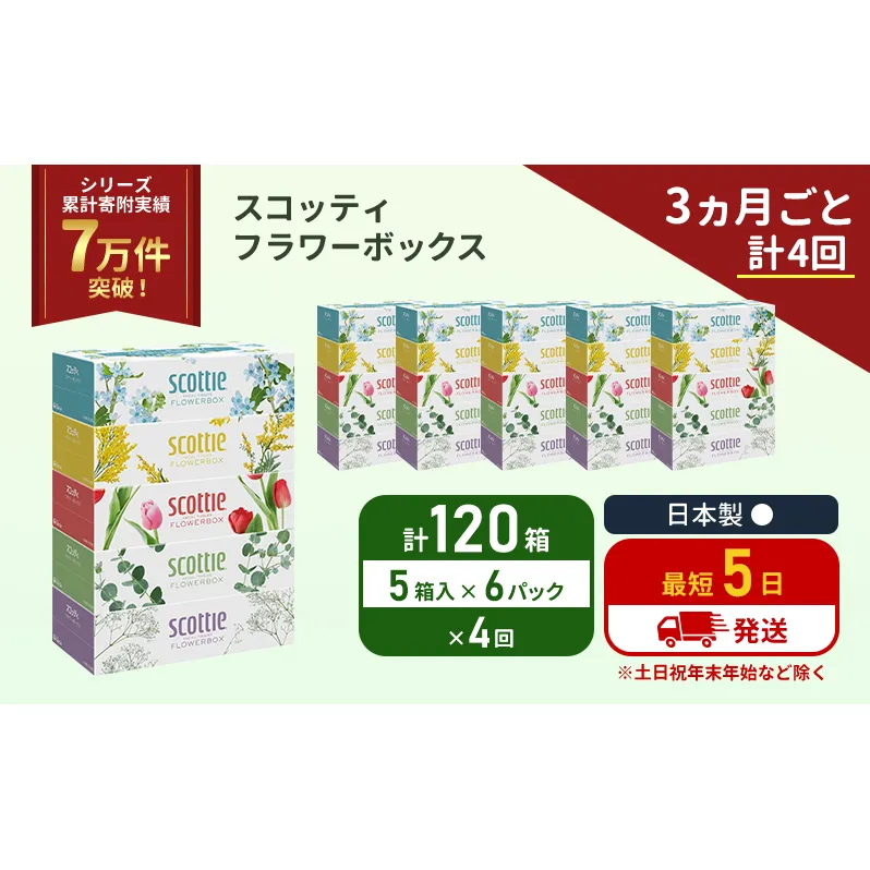 定期便 ティッシュ スコッティ フラワーボックス 120箱 (5箱×6パック)《3ヶ月ごと計4 回》 ティッシュペーパー ティシューペーパーボックスティッシュ ボックスティシュー ティシュペーパー 防災 災害 日用品 生活用品 生活必需品 宮城県 岩沼市
