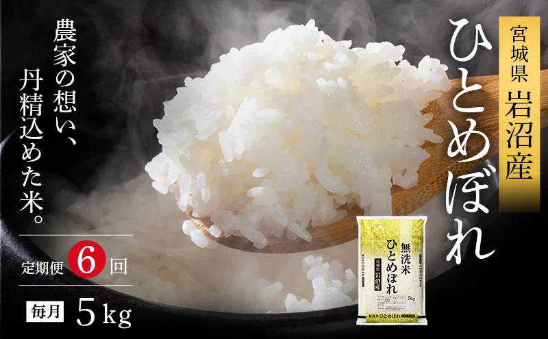 【先行予約/6ヶ月連続定期便】令和7年産新米 ひとめぼれ 5kg×6回 米 岩沼産 お米 白米 無洗米 ブランド米 単一原料米 5キロ こめ コメ おこめ ご飯 ライス 東北 宮城県産 宮城県産ひとめぼれ 宮城米