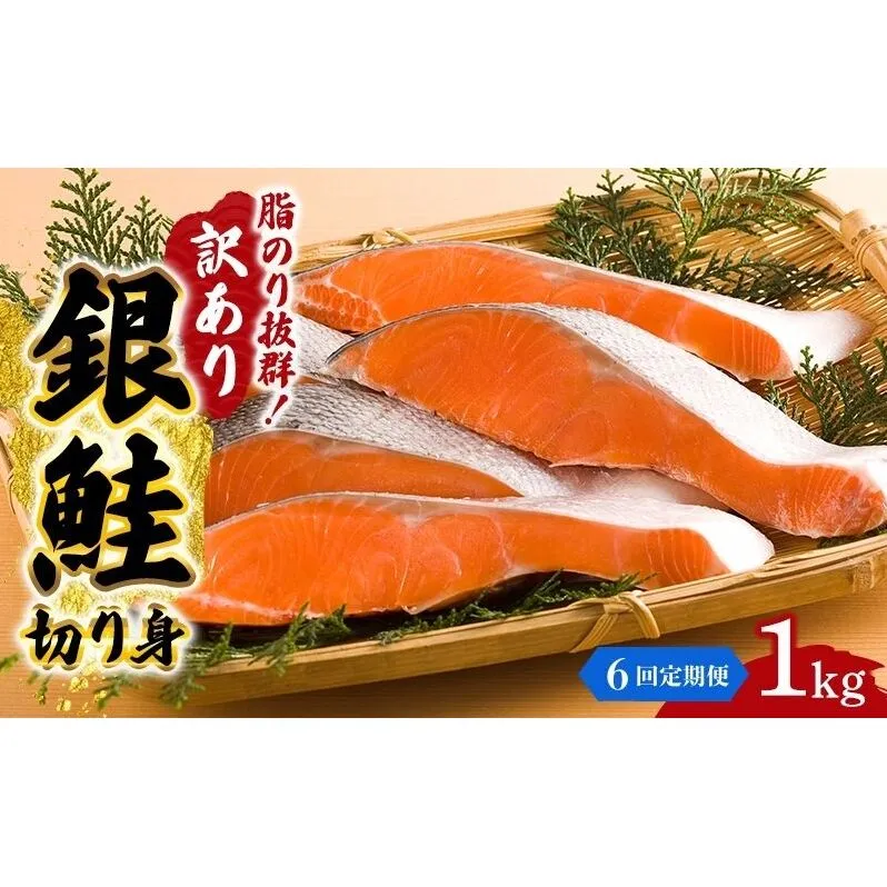 【6か月連続定期便】訳あり 銀鮭 切り身 1kg セット 詰め合わせ 銀シャケ 切身 鮭 サケ シャケ 鮭の切り身 規格外 不揃い 魚 魚介 魚介類 海鮮 海鮮セット 魚の切り身 鮭切身 冷凍 ご飯のお供 ごはんのお供 家庭用 訳アリ 宮城 宮城県 岩沼市