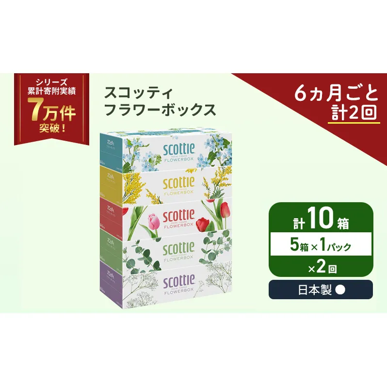 定期便 ティッシュ スコッティ フラワーボックス 5箱 × 1パック[ 6ヶ月ごと計 2回 ]