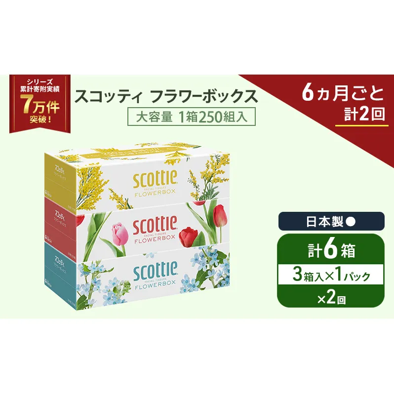 定期便 ティッシュ スコッティ フラワーボックス 3箱 × 1 パック《 6ヶ月ごと計 2回 》ティッシュセット
