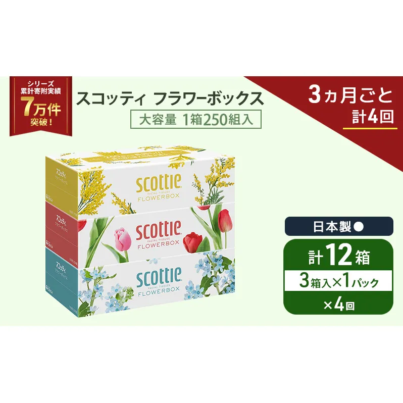 定期便 ティッシュ スコッティ フラワーボックス 3箱 × 1 パック《 3ヶ月ごと計 4回 》ティッシュセット