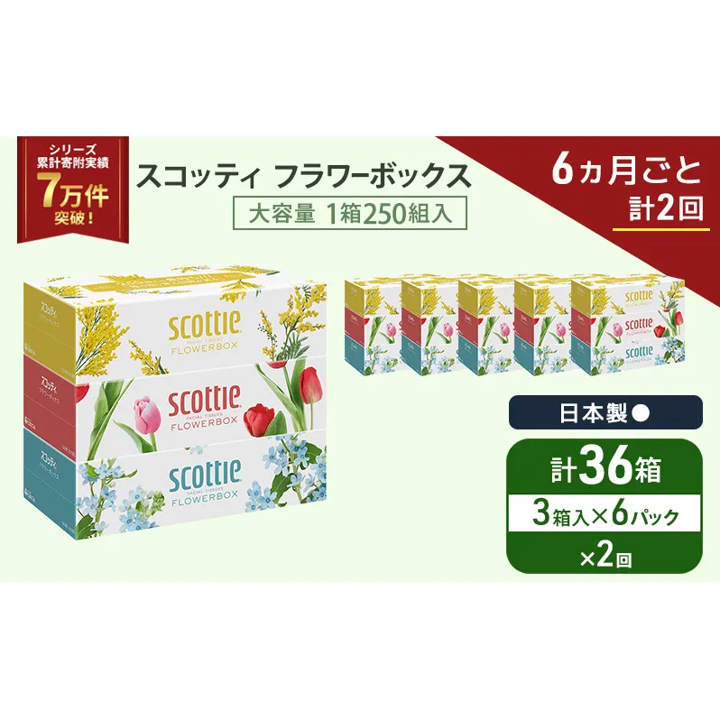 定期便 ティッシュ スコッティ フラワーボックス 3箱 × 6 パック《 6ヶ月ごと計 2回 》ティッシュセット