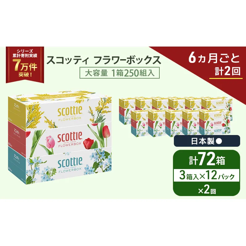 定期便 ティッシュ スコッティ フラワーボックス 3箱 × 12 パック《 6ヶ月ごと計 2回 》ティッシュセット