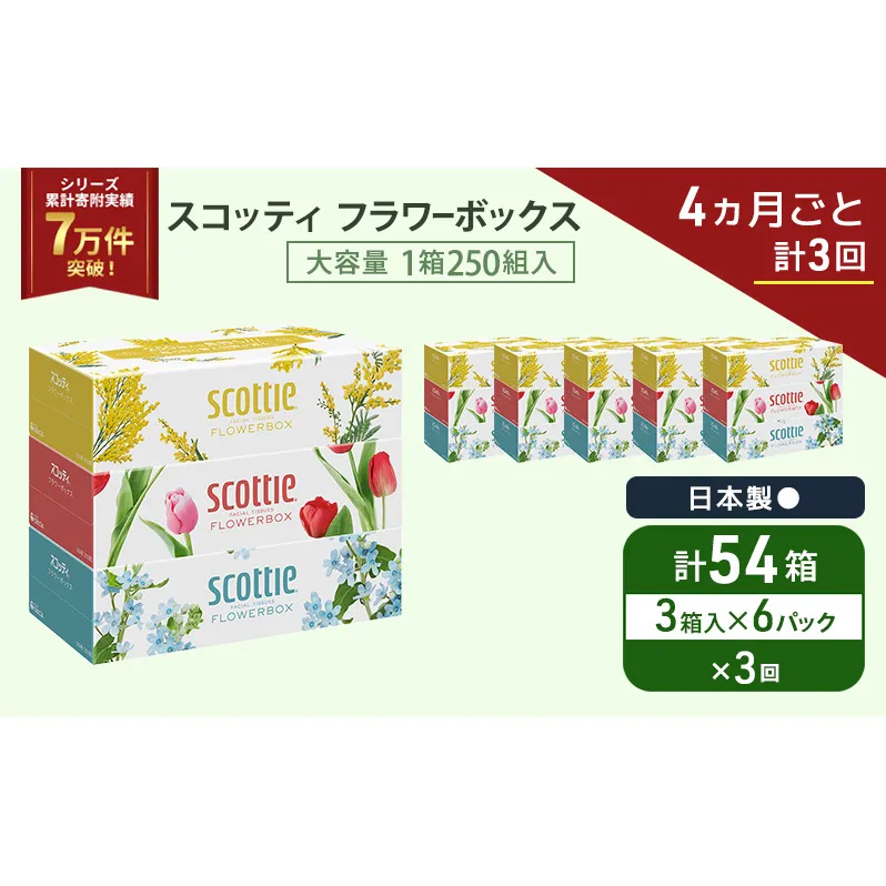 定期便 ティッシュ スコッティ フラワーボックス 3箱 × 6 パック《 4ヶ月ごと計 3回 》ティッシュセット
