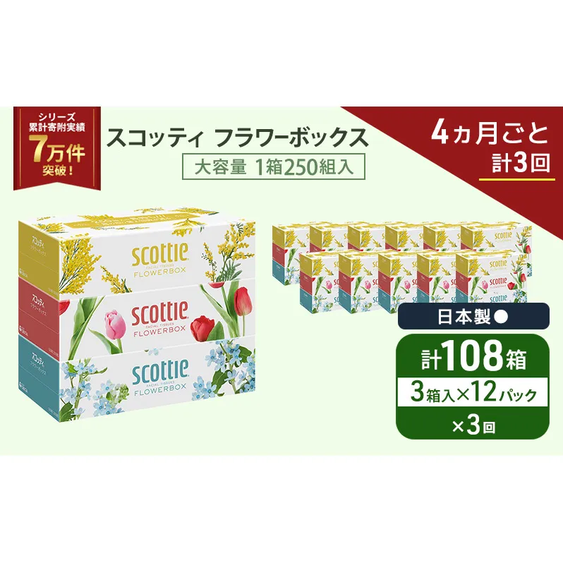 定期便 ティッシュ スコッティ フラワーボックス 3箱 × 12 パック《 4ヶ月ごと計 3回 》ティッシュセット