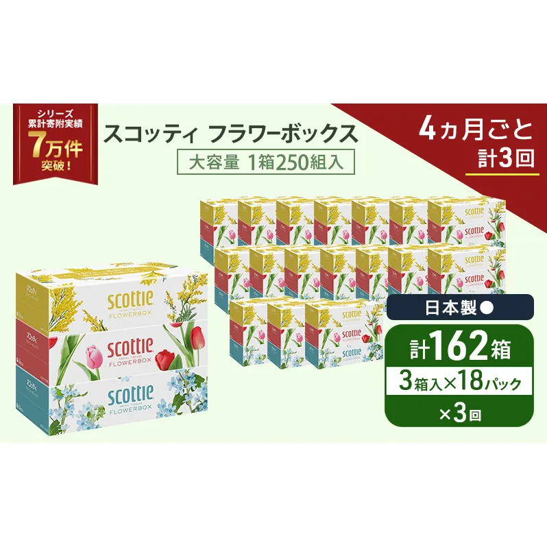 定期便 ティッシュ スコッティ フラワーボックス 3箱 × 18 パック《 4ヶ月ごと計 3回 》ティッシュセット