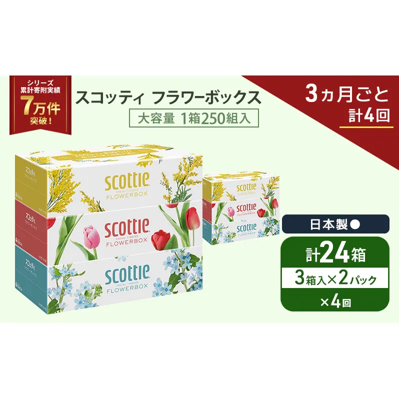 定期便 ティッシュ スコッティ フラワーボックス 3箱 × 2 パック《 3ヶ月ごと計 4回 》ティッシュセット