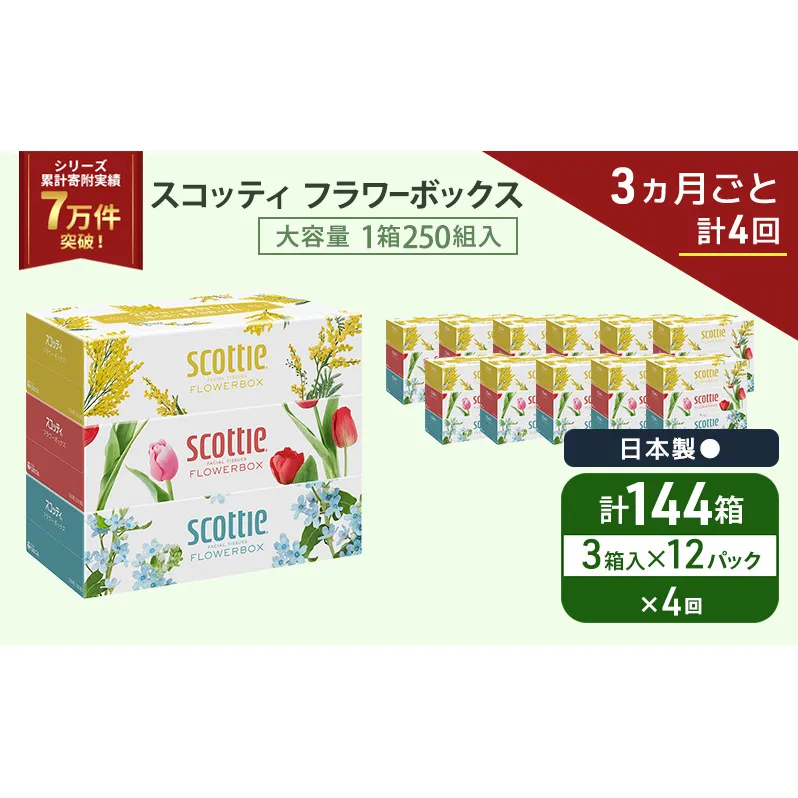 定期便 ティッシュ スコッティ フラワーボックス 3箱 × 12 パック《 3ヶ月ごと計 4回 》ティッシュセット