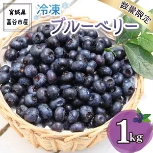 2024年富谷市産 冷凍ブルーベリー1kg｜ブルーベリー 冷凍便 特産品 果実 スイーツ デザート ヨーグルト 令和6年産 [0226]