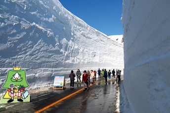 雪の壁ウォーク