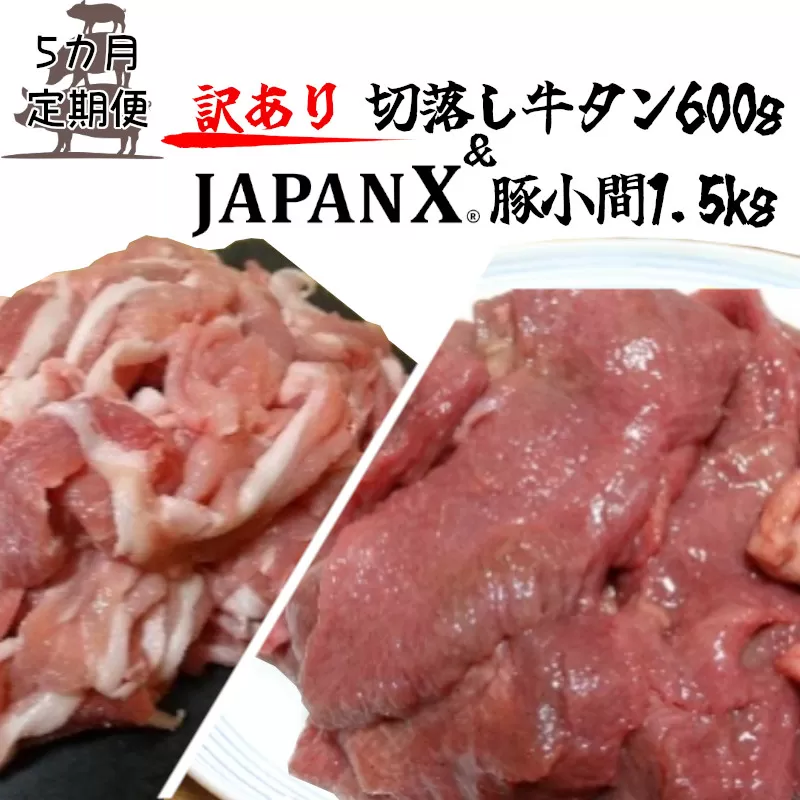 【定期便5か月】【訳あり】JAPAN X 豚小間＆家庭用仙台牛タン(塩味) 計2.1kg　【04301-0560】