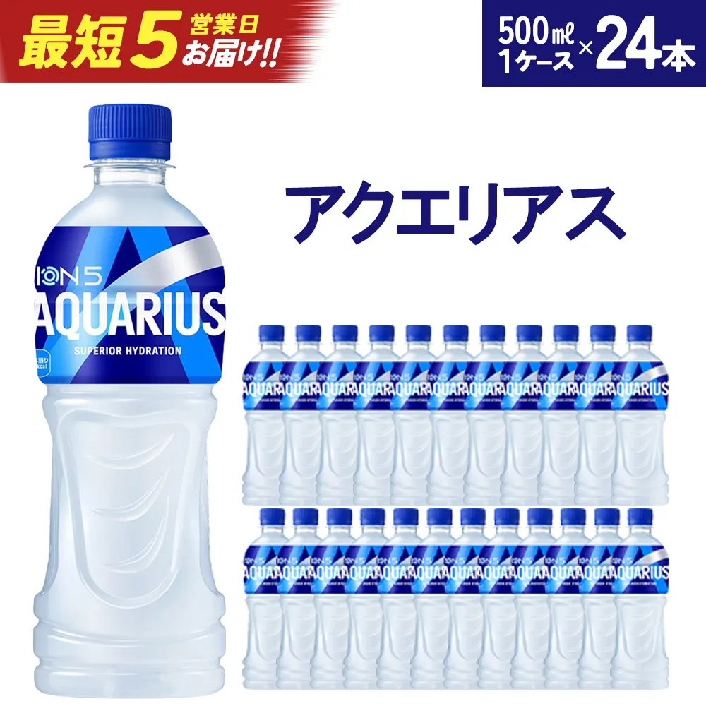 【最短5営業日着！】アクエリアス 500mlPET×24本　【04301-0039】
