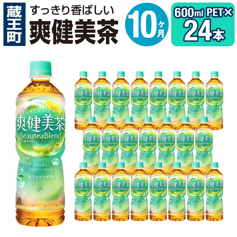 【10ヶ月連続お届け】爽健美茶 600mlPET×24本　【04301-0030】