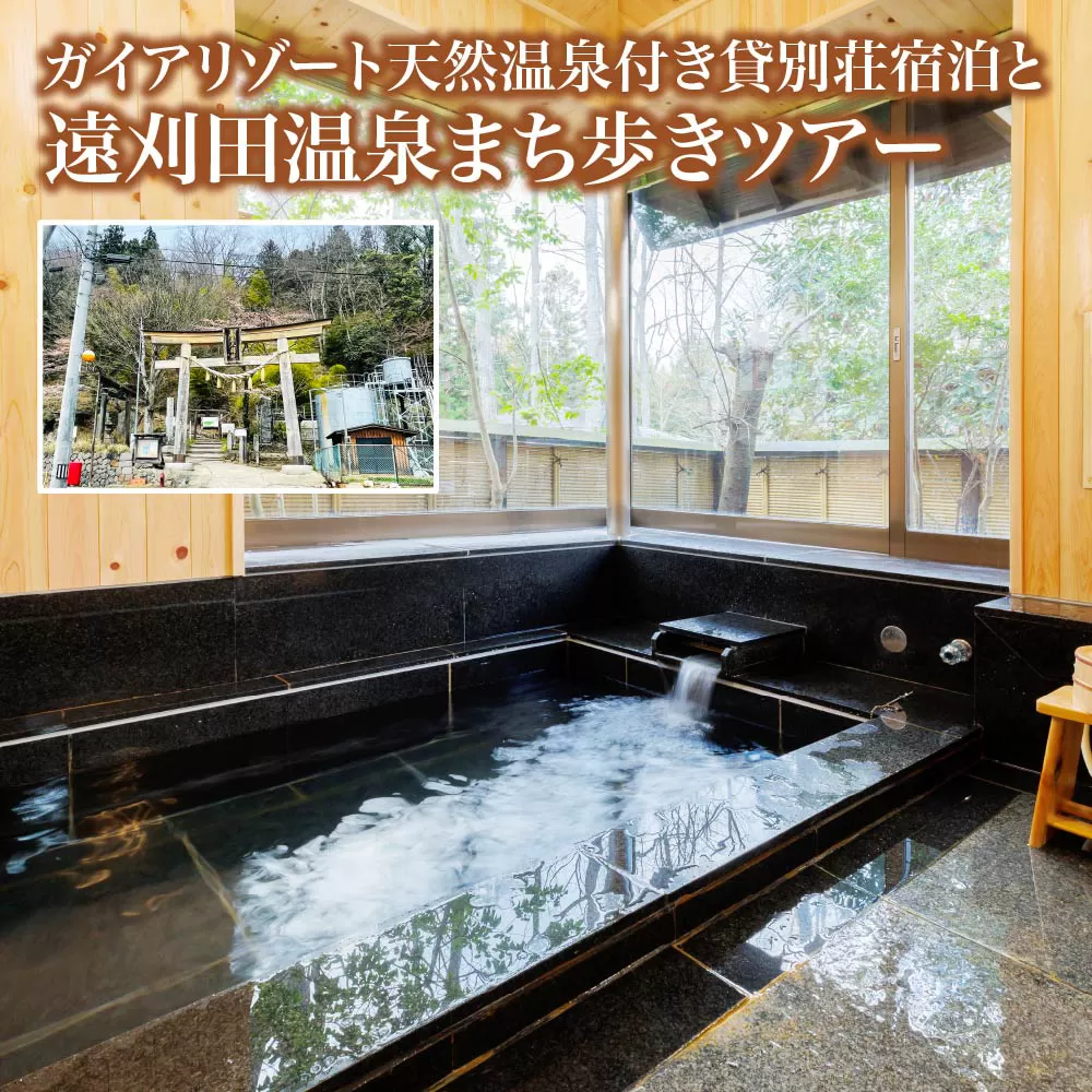 ガイド付きまち歩きツアー付きガイアリゾート天然温泉貸別荘宿泊プラン　【04301-0944】