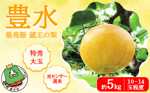 食品 茨城県産 豊水 梨 秀品5キロ 4Lサイズ 12玉入り