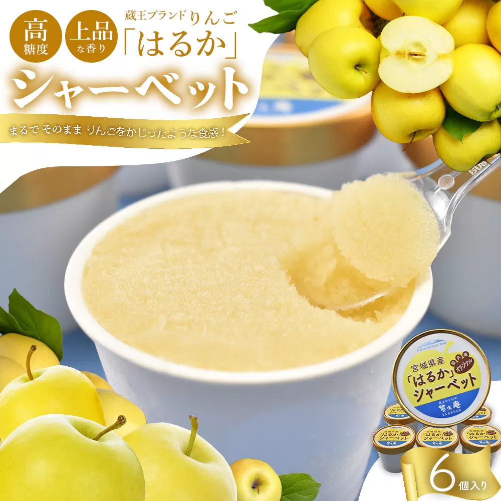 りんご「はるか」シャーベット　【04301-0202】