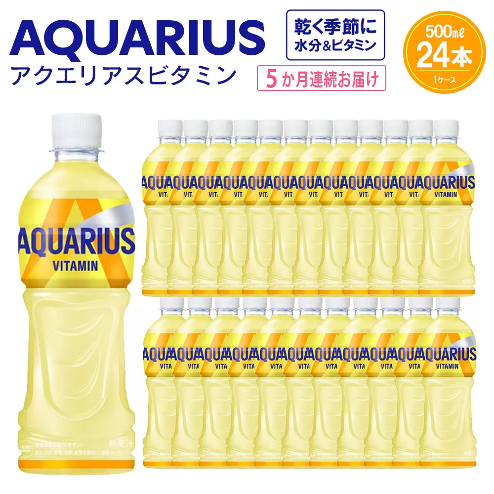 【5か月連続お届け】アクエリアス ビタミン　500ml PET×24本　【04301-0686】
