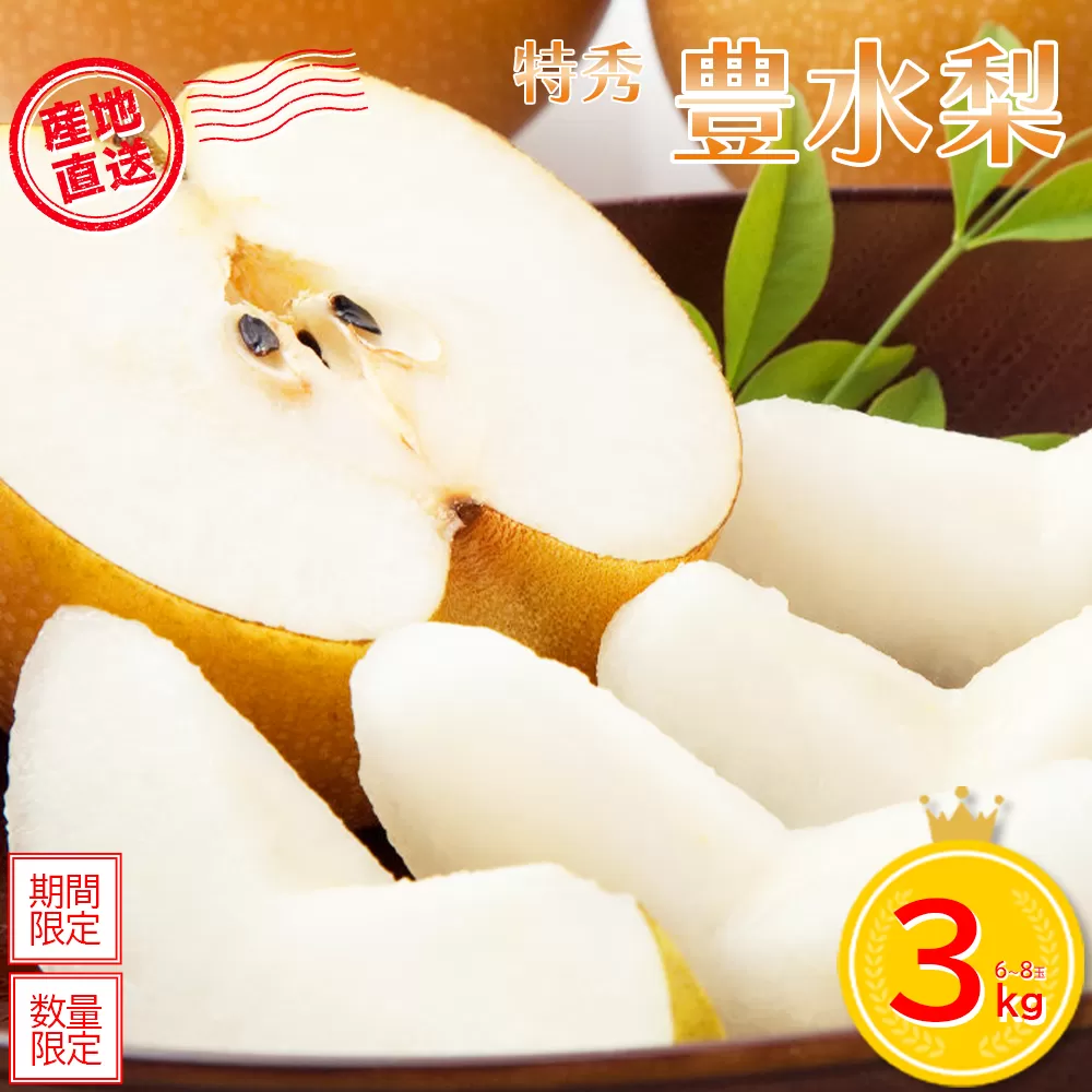 【先行予約】＜蔵王町産＞【特秀】豊水梨3kg箱詰め　【04301-0604】