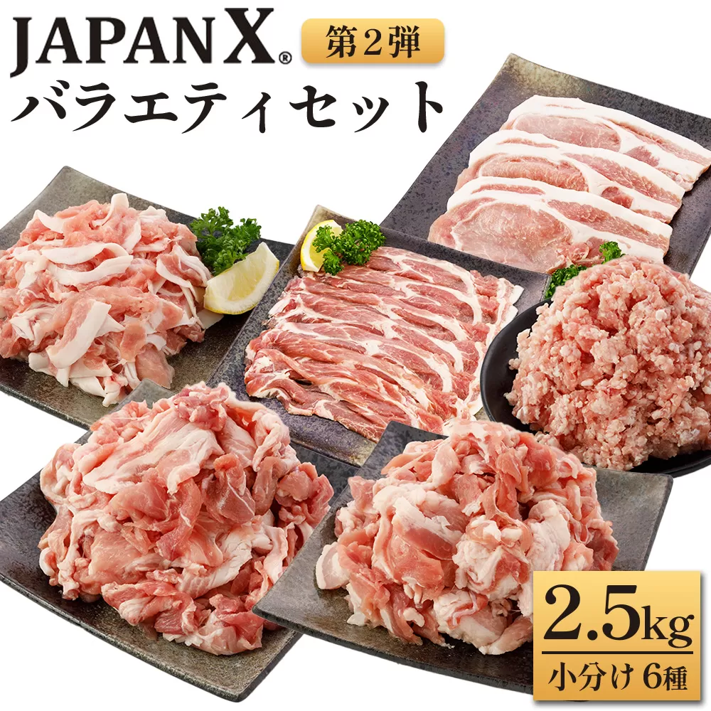 JAPAN X バラエティセット 第2弾 6種 2.5kg　豚肉 豚 ブランド豚 小分け バラエティセット 豚こま 豚バラ 豚ロース ひき肉 ジャパンエックス 蔵王 人気　【04301-0888】