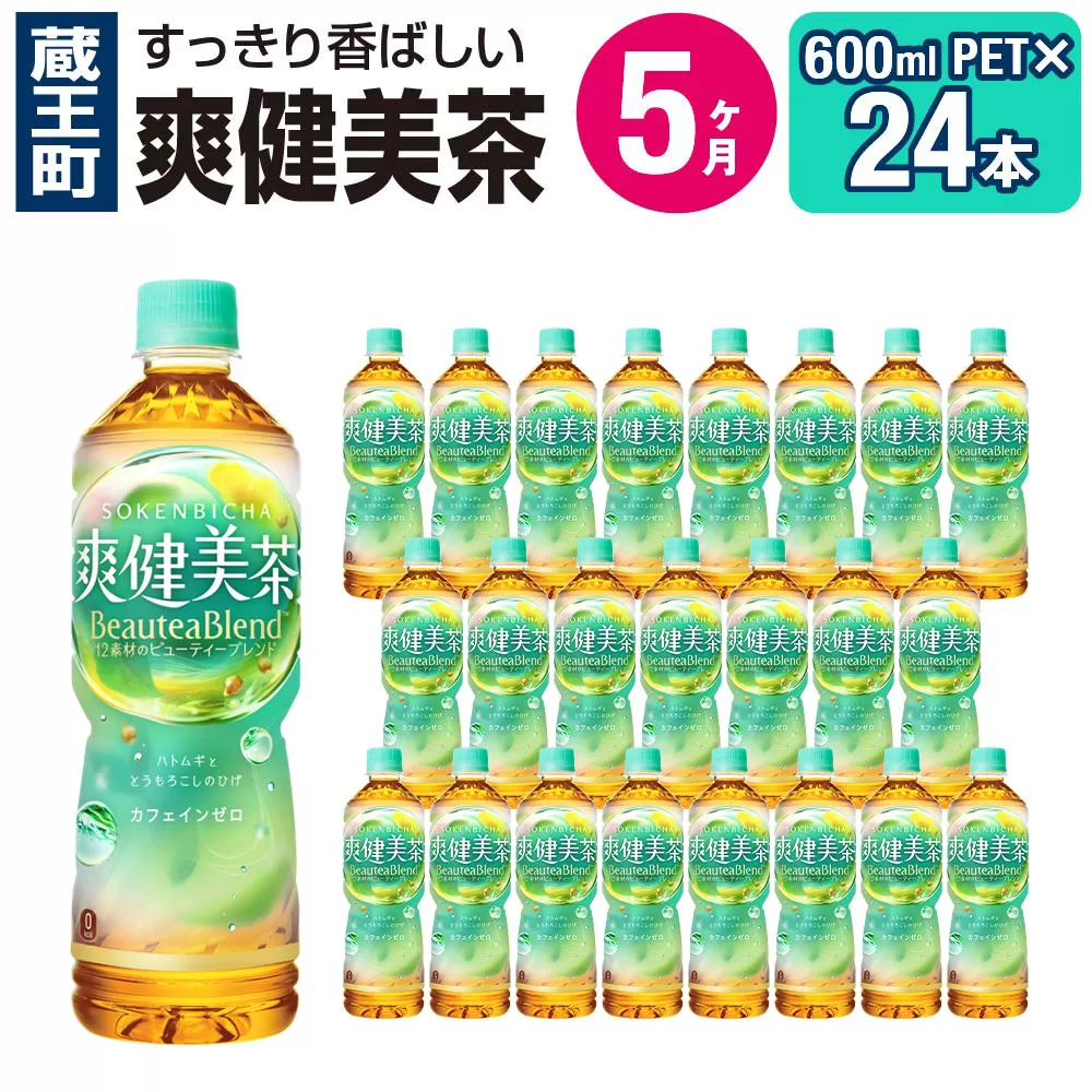 [5ヶ月連続お届け]爽健美茶 600ml×24本 [04301-0029]