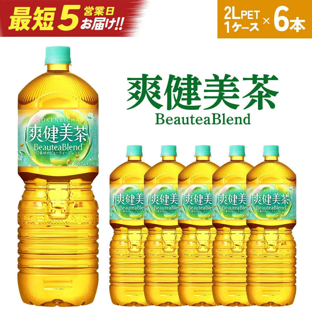 【最短5営業日着!】爽健美茶2LPET×6本 【04301-0528】