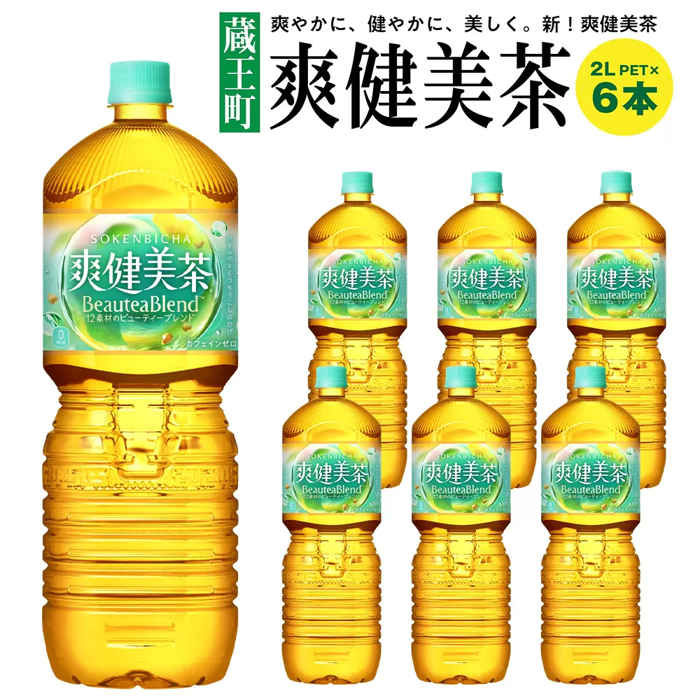 爽健美茶2LPET×6本 【04301-0528】