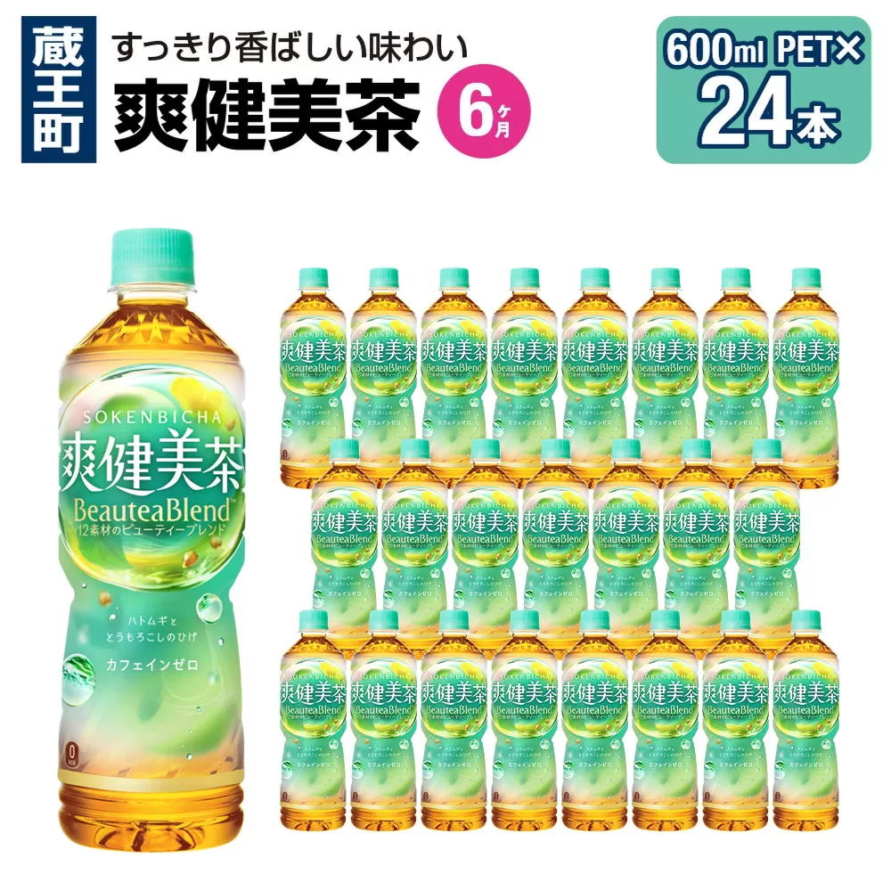 【6か月連続お届け】爽健美茶 600ml PET×24本 【04301-0697】