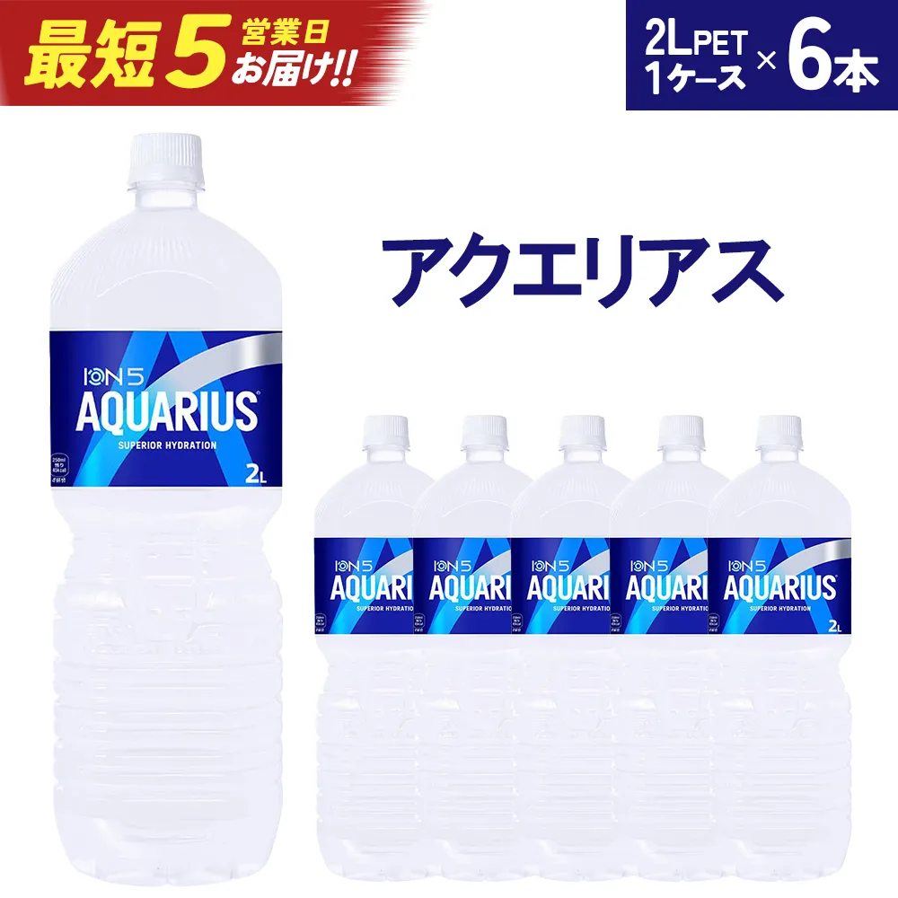 【最短5営業日着!】アクエリアス2LPET×6本 【04301-0536】