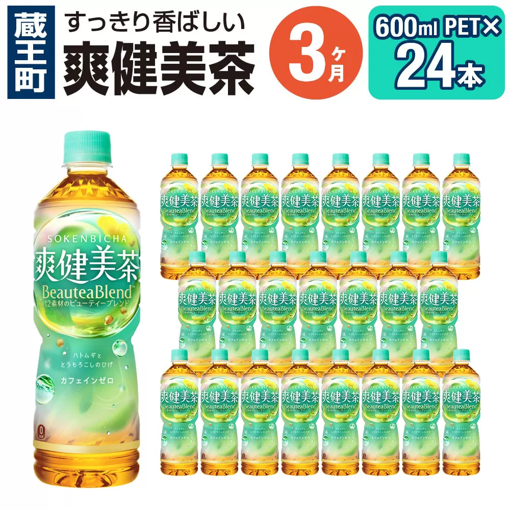【3ヶ月連続お届け】爽健美茶 600mlPET×24本　【04301-0028】
