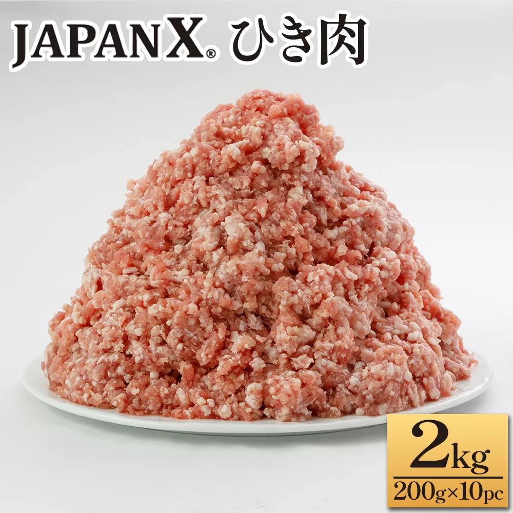 JAPAN X ひき肉  200g×10  計2kg　豚肉 豚 ブランド豚 小分け 豚ひき肉 挽肉 ひき肉 ジャパンエックス 蔵王 人気【04301-0885】
