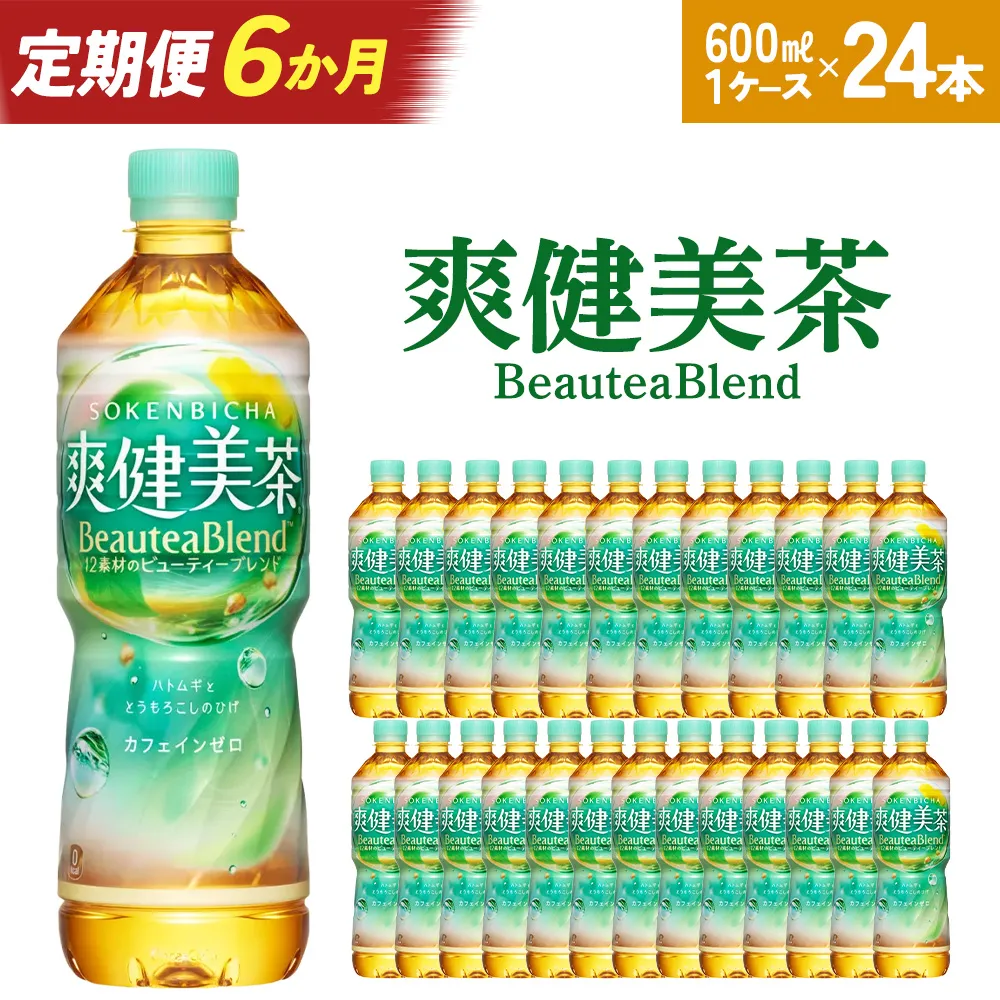 【6か月連続お届け】爽健美茶 600ml PET×24本 【04301-0697】