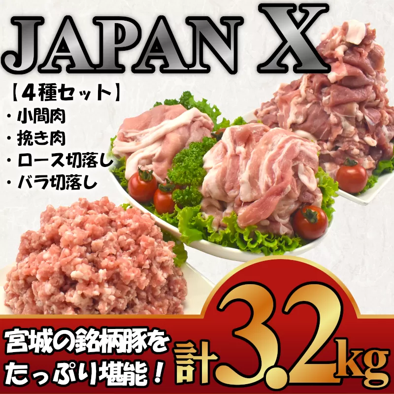 ＜蔵王町産＞JAPAN X　豚肉バラエティセット　3.2kg　【04301-0366】