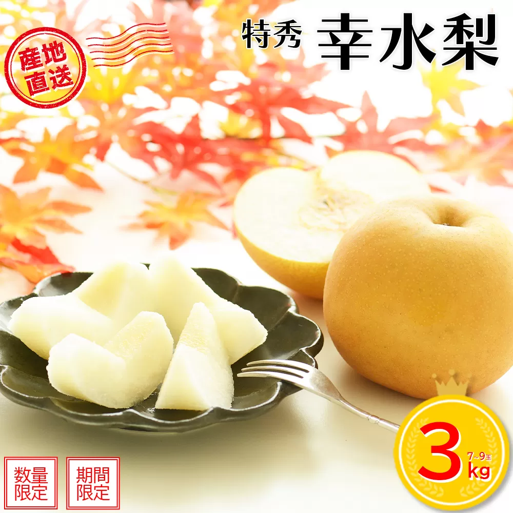 【先行予約】＜蔵王町産＞【特秀】幸水梨3kg箱詰め　【04301-0603】