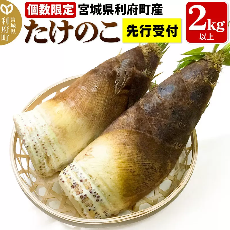 【先行受付 2026年4月以降発送】宮城県利府町産 採れたて たけのこ 皮付き2kg以上（2〜6本）筍 タケノコ 野菜 国産 新鮮 旬