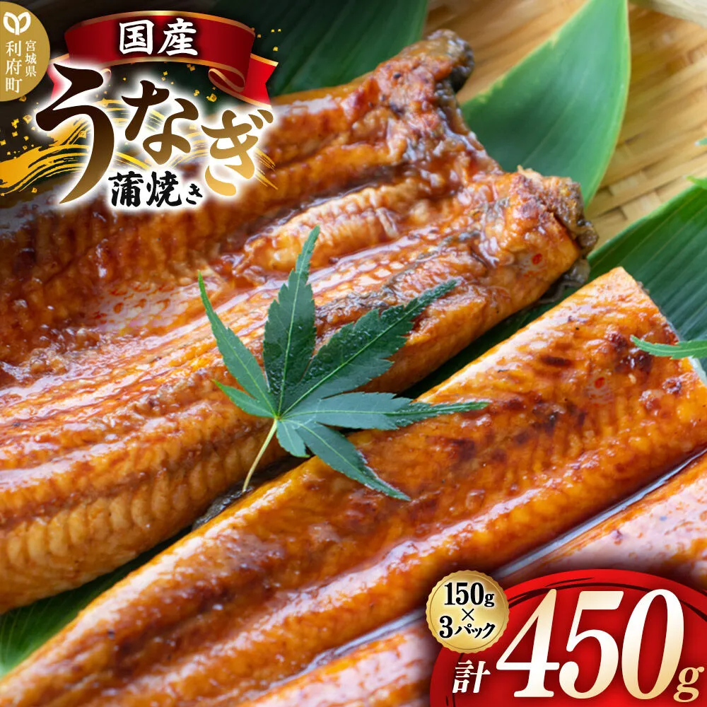 国産うなぎ蒲焼 450g(1パック150g×3) 高知県産 [国産 うなぎ 蒲焼 湯煎 簡単 時短 調理 上品 ふっくら 柔らか 秘伝のたれ 宮城県 利府町 ウツミ水産] 宮城県利府町