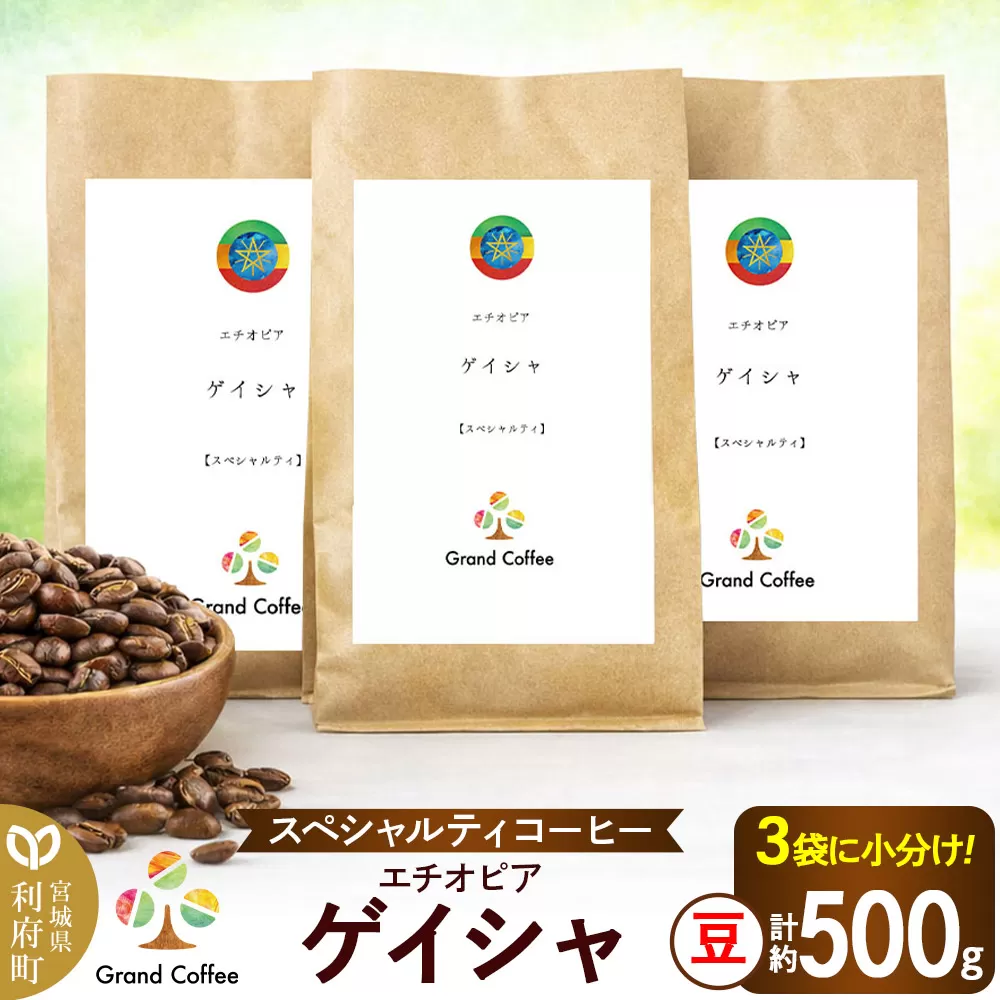 コーヒー シングルオリジン エチオピア ゲイシャ 3袋（計約500g） 宮城県利府町（豆） 宮城県利府町
