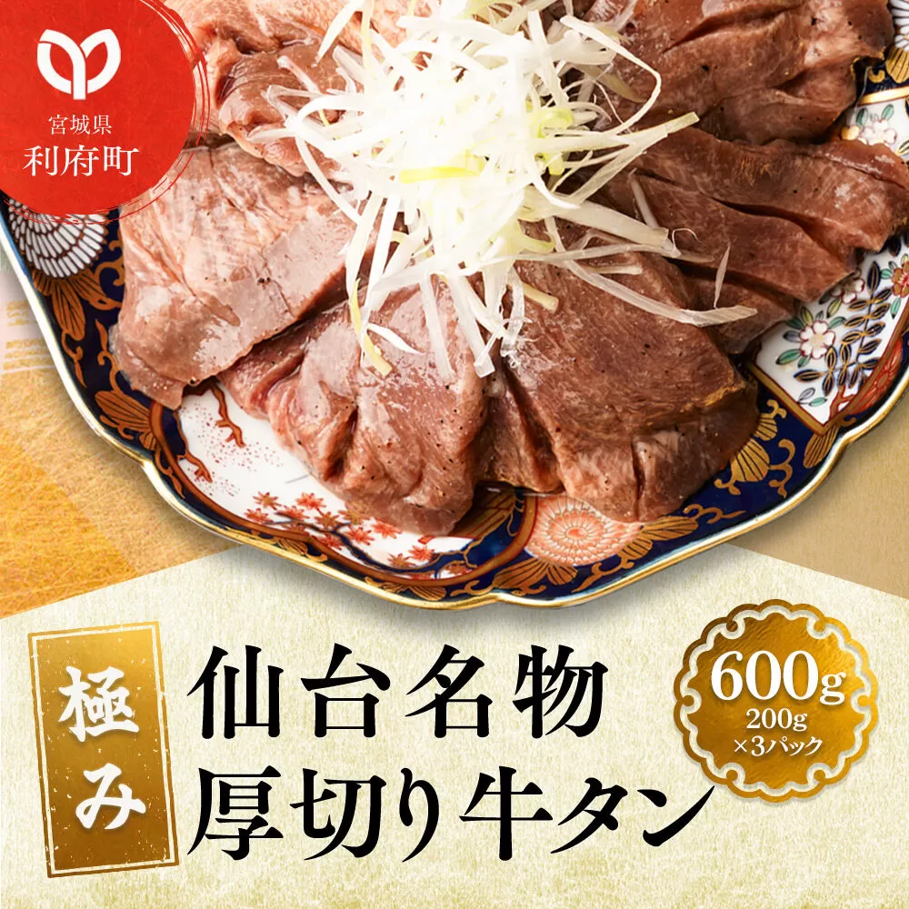 仙台名物 厚切り 牛タン 塩仕込み 600g(200g×3P) 牛たん スライス 塩味 [牛タン タン塩 希少 部位 塩ダレ タレ 小分け 仙台 名物 厚切 肉厚 おいしい 美味 牛 肉 焼肉 バーベキュー BBQ 宮城県 利府町 船田食品] 宮城県利府町
