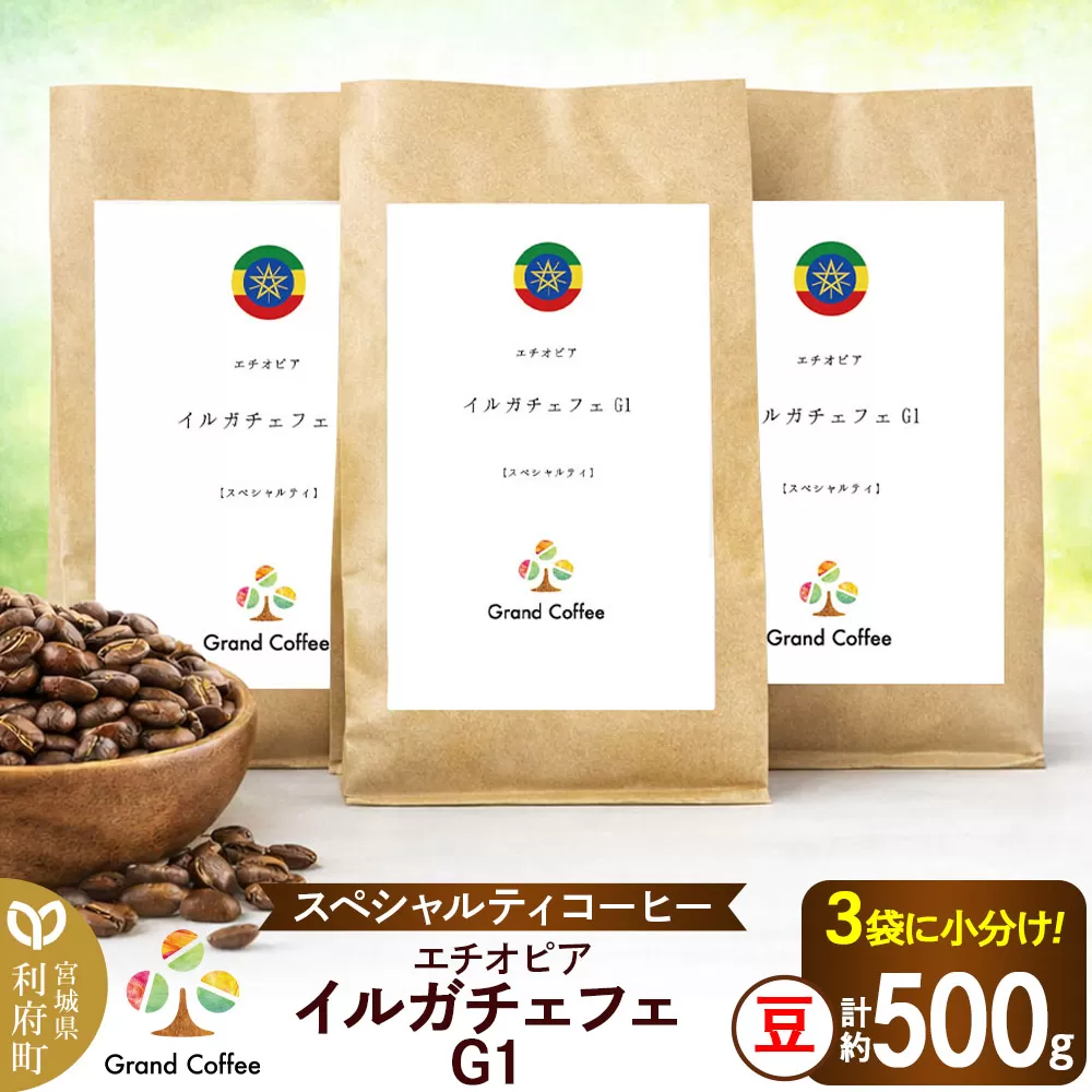 コーヒー エチオピア イルガチェフェG1 （3袋 計約500g） 宮城県利府町（豆） 宮城県利府町