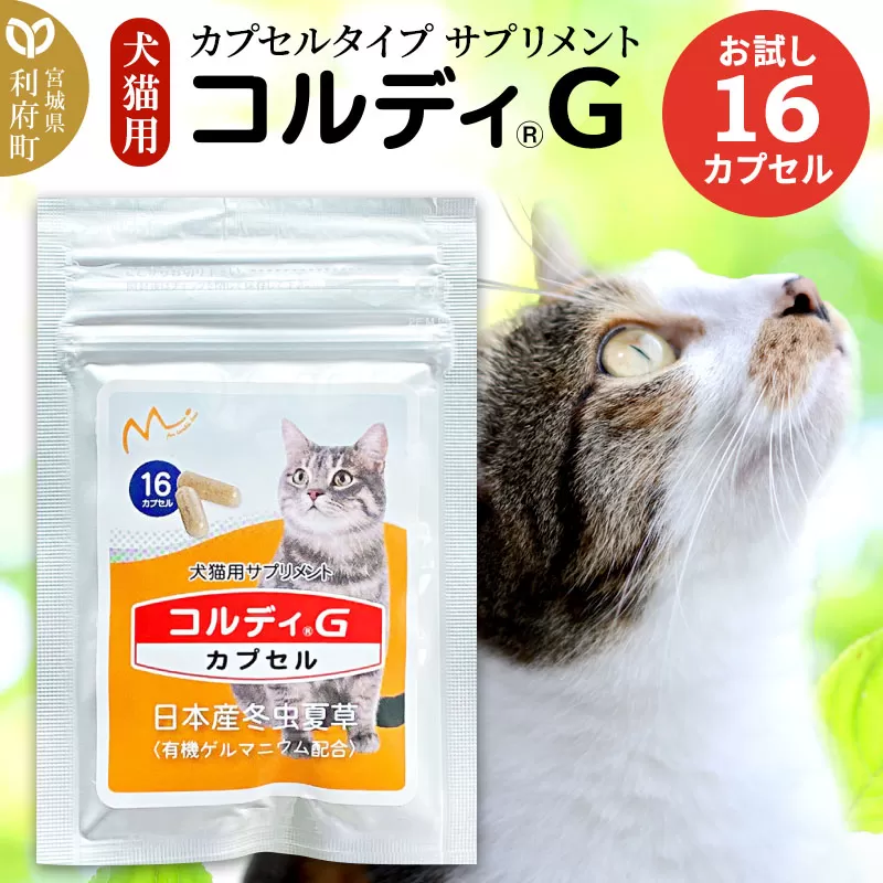 コルディGカプセル 利府町