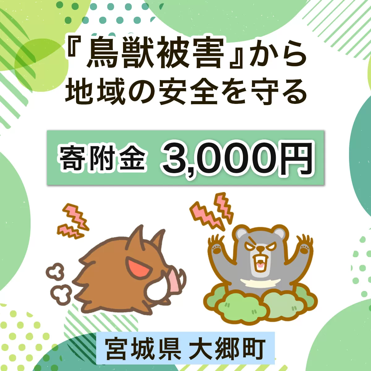 宮城県大郷町への寄付 (返礼品はありません) 鳥獣被害から地域の安全を守る イノシシ・熊出没防止対策・環境整備へのご支援を【寄附額3千円】｜東北 大郷町 おおさと 返礼品無し 寄附 寄付 被害防止 対策 安全確保 生活確保 熊 クマ くま 猪 イノシシ いのしし [0277]