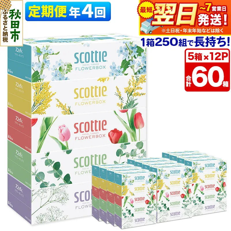 《3ヶ月ごとに4回お届け》定期便 ティッシュペーパー スコッティ フラワーボックス250組 60箱(5箱×12パック) ティッシュ 最短翌日発送 [ティッシュ スコッティ(SCOTTIE) スコッティティシュー 定期便] 秋田県秋田市