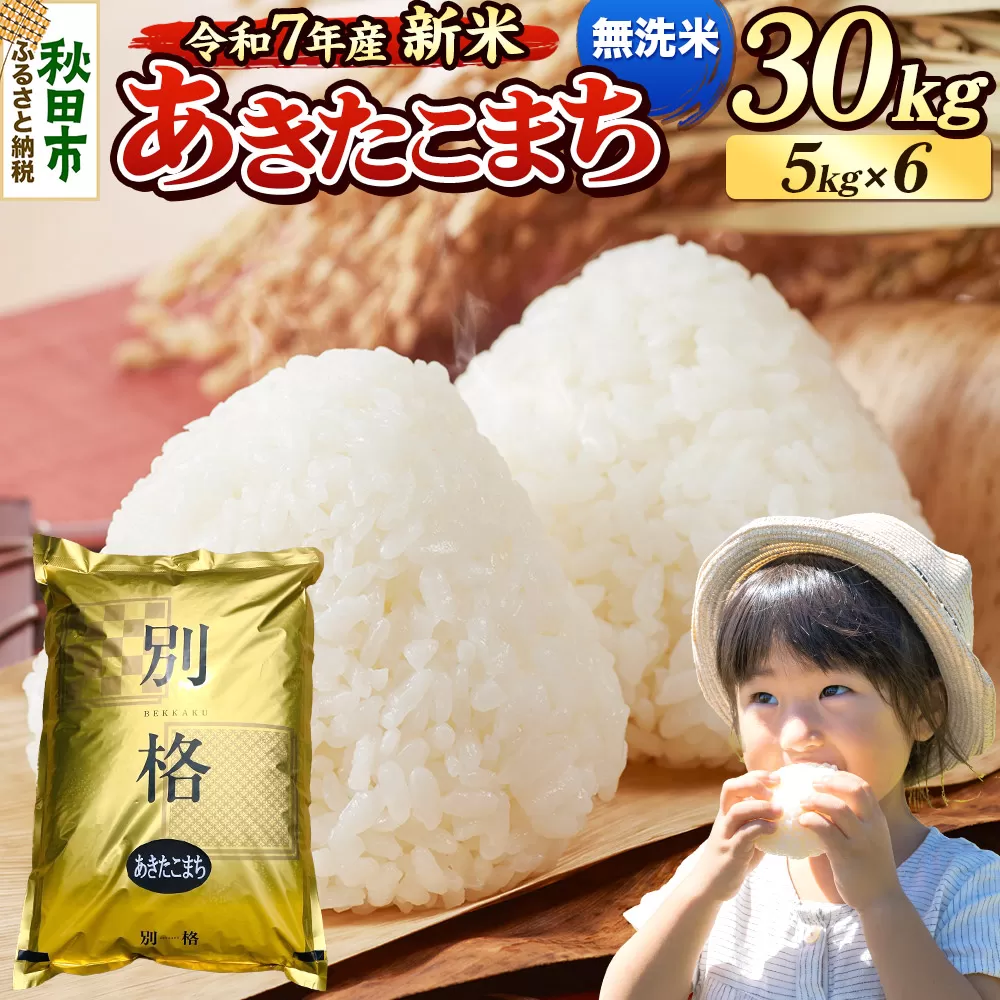 《令和7年産 新米》 米 あきたこまち 30kg（5kg×6袋） 【無洗米】 秋田県産 秋田県秋田市